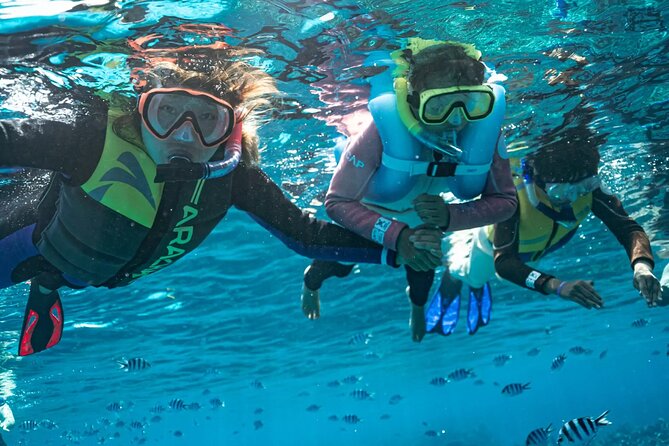 Kuata Island Marine Conservation Experience with Lunch - The marine conservation program