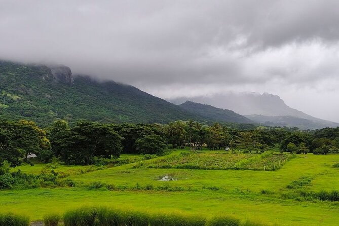Kula Eco Park Admission - How much time should you allow?