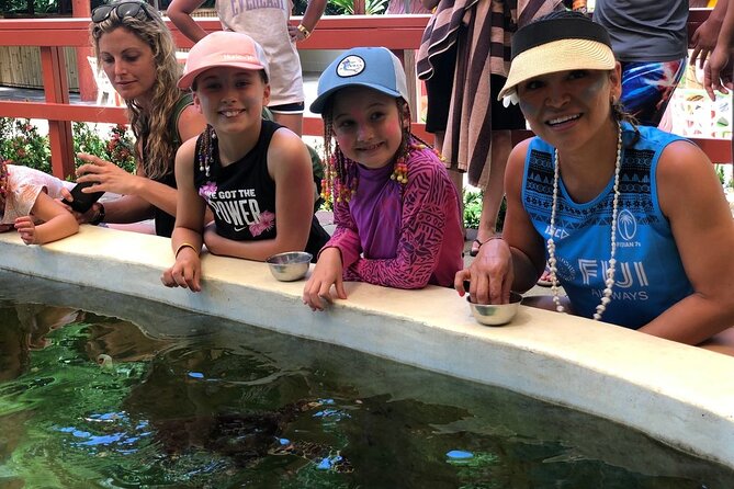 Kula Eco Park Admission - Feeding Hawksbill sea turtles at the outdoor reef pool