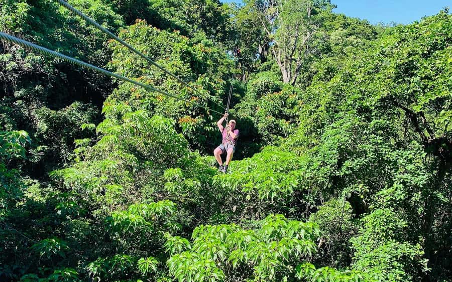 Largest Zipline & Cave Exploration from sigatoka coral coast - Limestone Caves and a Different Ecosystem
