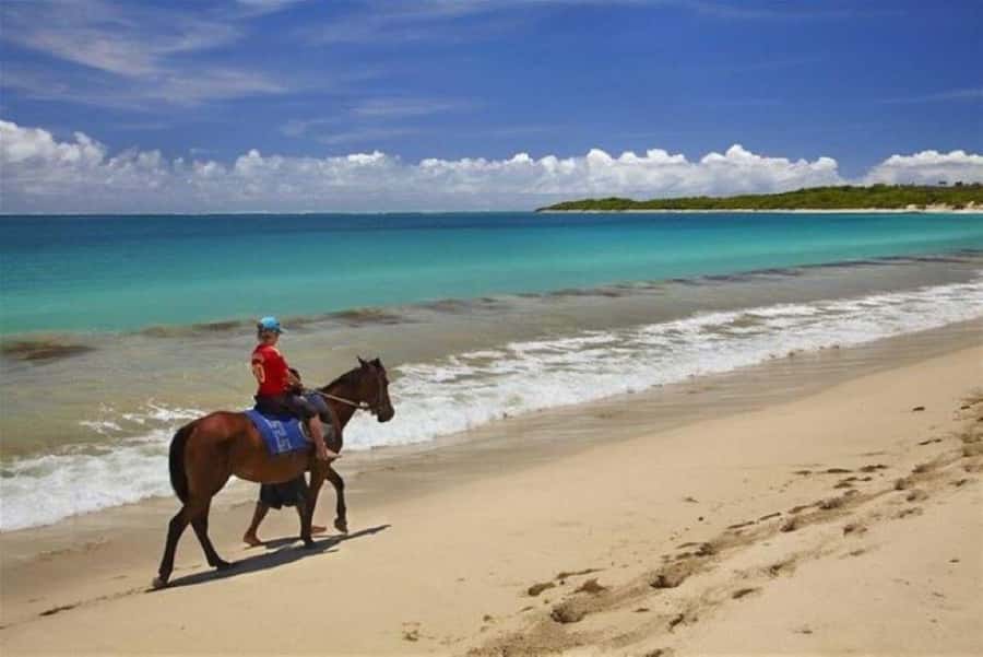 Lawai Pottery Village & Natadola Beach Kava Ceremony & Meke - Who will enjoy this Fiji day most