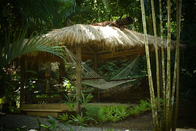 Mud Pools, Gardens, Markets, Temple & Shopping-Nadi Tour half day - Why this half-day tour works well from Denarau