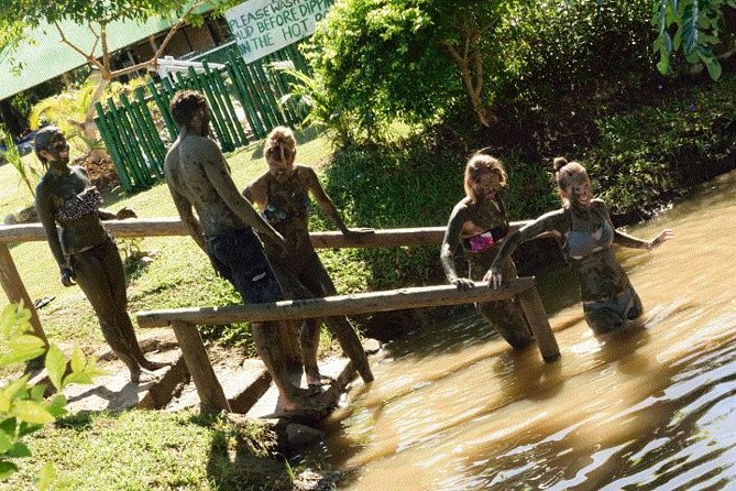 Mud Pools-Nadi Private Therapeutic Pools, Gardens, Temple, Market &Shopping Tour - Nadi’s produce market and handicraft shopping