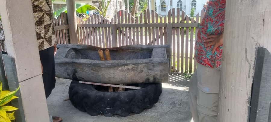 Nadi: Garden Village Hot Spring & Temple Highlights Tour - Namaka Market: a quick look at Fiji’s produce