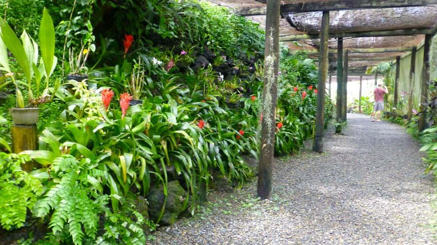 Nadi: Garden Village Hot Spring & Temple Highlights Tour - What to bring and how to pace the day