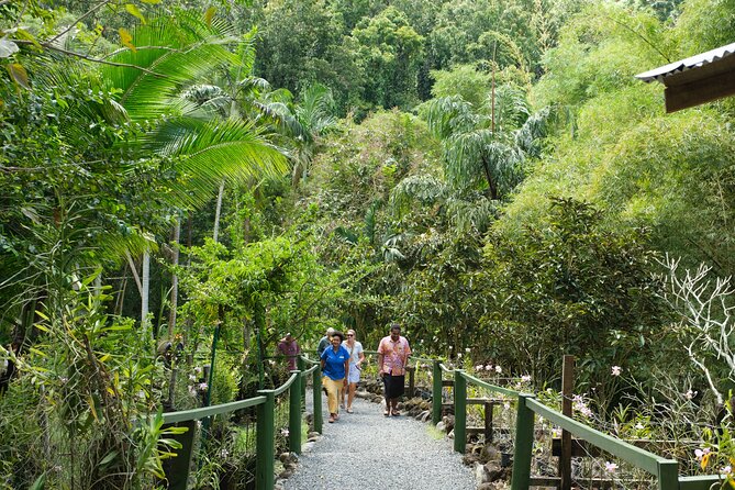 Nadi Heritage Tour - The TifaJek Mud Pools and the tour’s main uncertainty