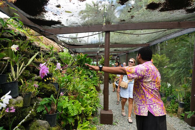 Nadi Heritage Tour - Lunch, shopping, and schedule flexibility