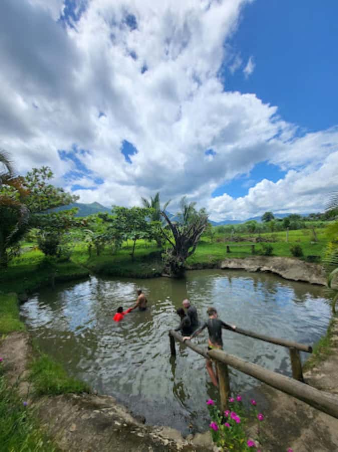 Nadi: Mud Pool and Hot Spring Private Tour - What happens at Sabeto Hot Spring Mud Pool