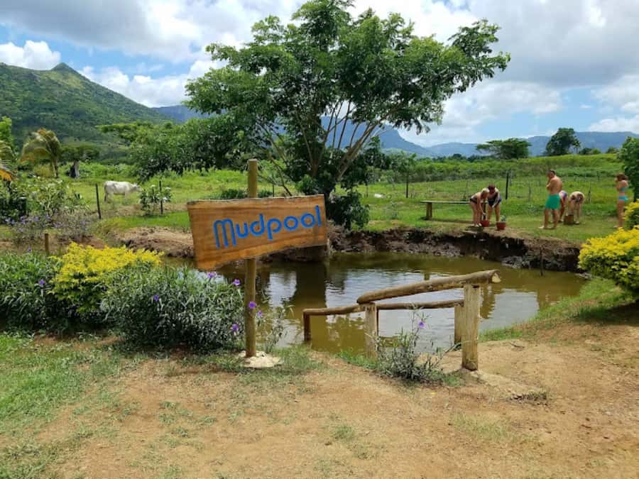 Nadi: Mud Pool and Hot Spring Private Tour - Who should book this private tour?