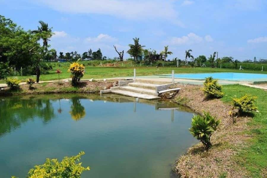 Nadi: Mud Pool and Hot Spring Private Tour - Timing, cancellation, and practical planning