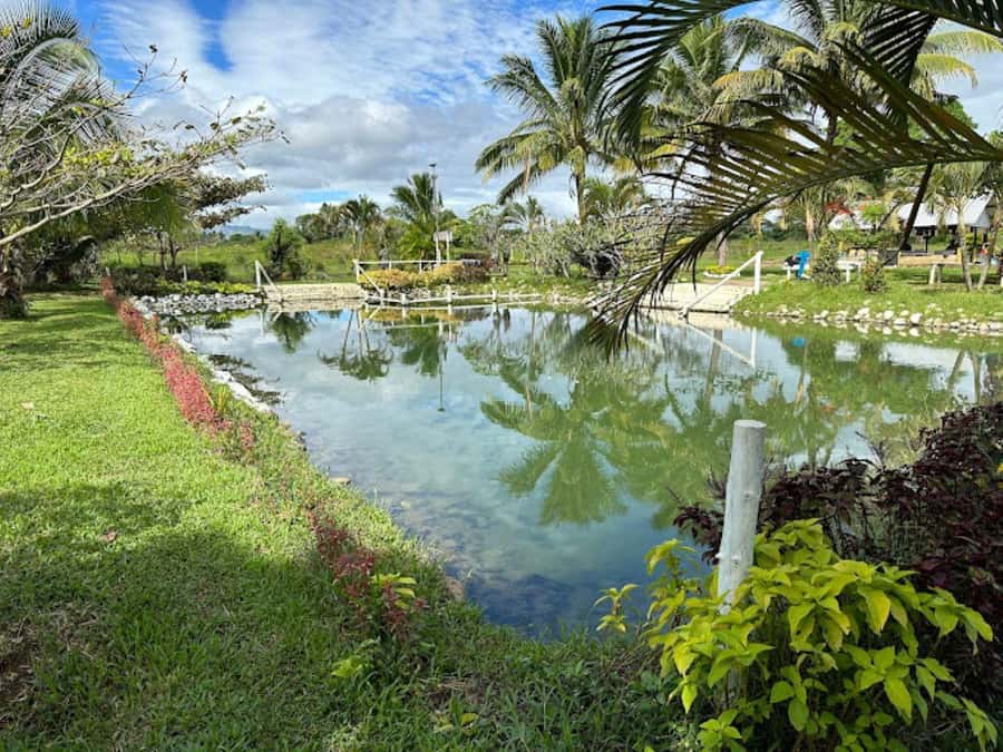 Nadi: Mud Pool and Hot Spring Private Tour - Pickup from Nadi, Denarau, Nasoso, or Lautoka