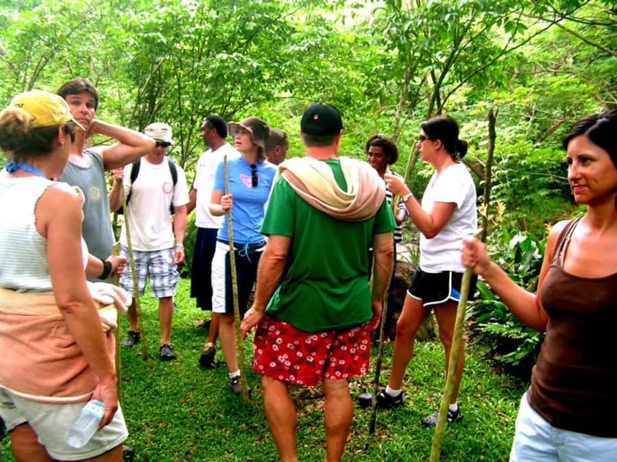 NADI: Nalesutale Village Half Day Tour - The Mount Batilamu rainforest trail