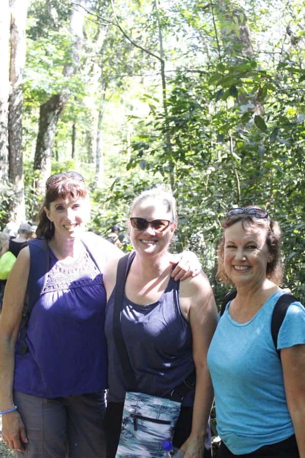 NADI: Nalesutale Village Half Day Tour - Reaching the waterfall and taking a cool dip