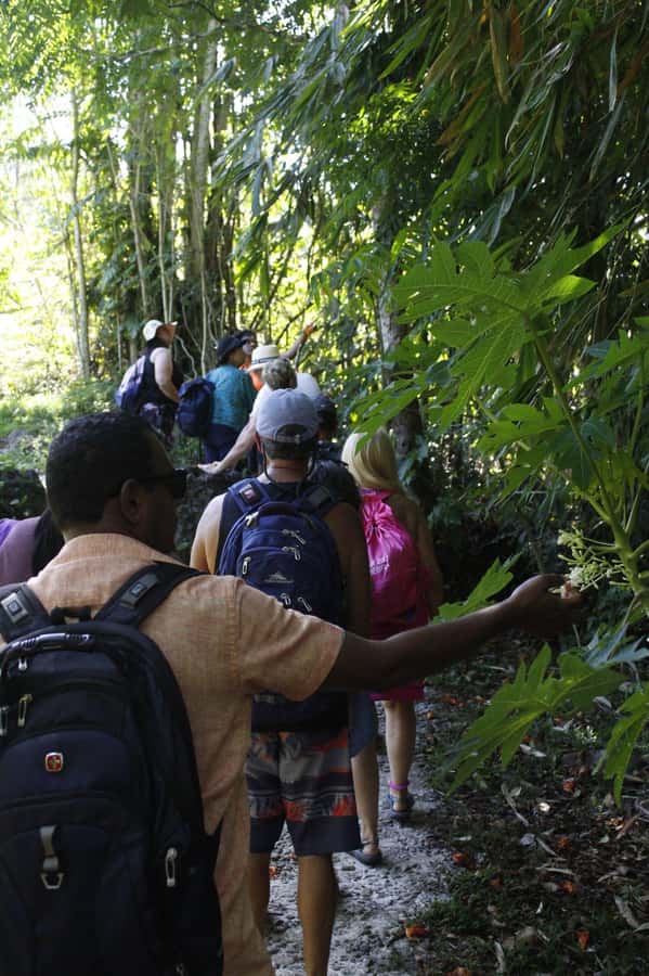 NADI: Nalesutale Village Half Day Tour - What the $122 price really covers