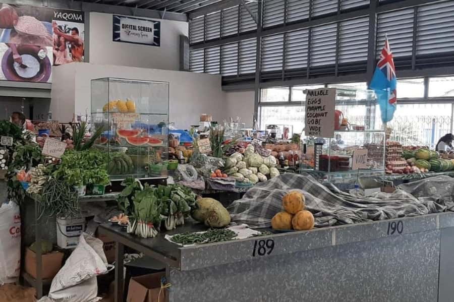 Nadi: Private Tour with Temple, Garden, Markets & Mud Pools - Key points to know before you book