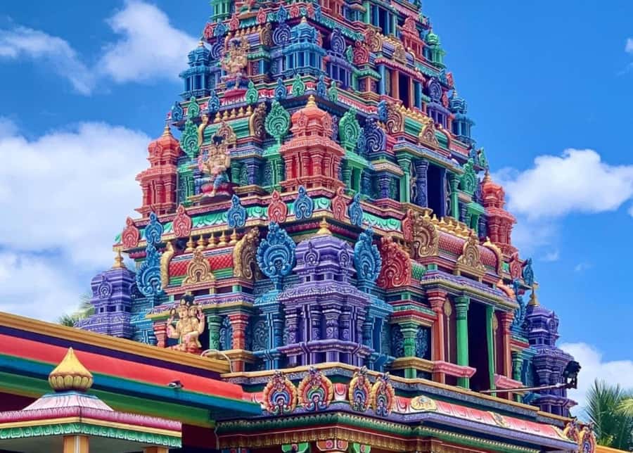 Nadi: Private Tour with Temple, Garden, Markets & Mud Pools - Is $115 a fair price?