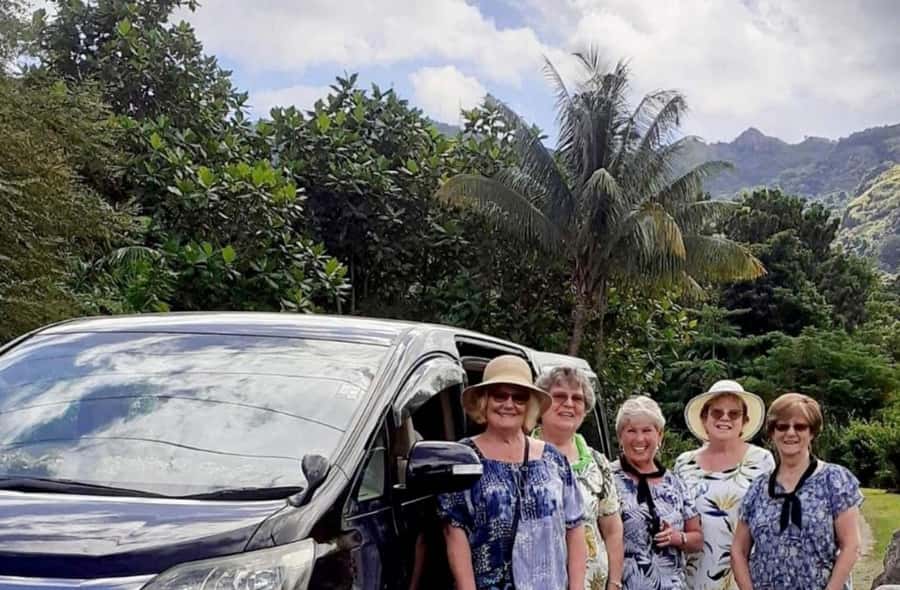 Nadi: Private Tour with Temple, Garden, Markets & Mud Pools - Who will get the most from this experience?
