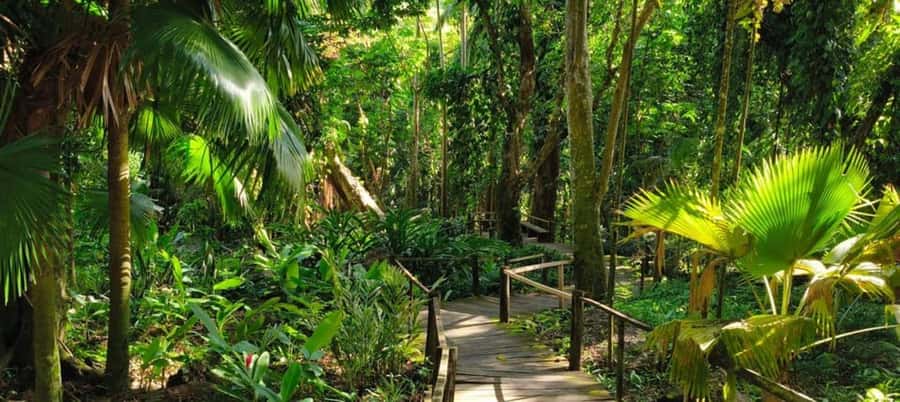 NADI-SABETO: Exquisite Orchid Garden with Hotspring Mudpool - From flowers to Fiji’s famous mud pools
