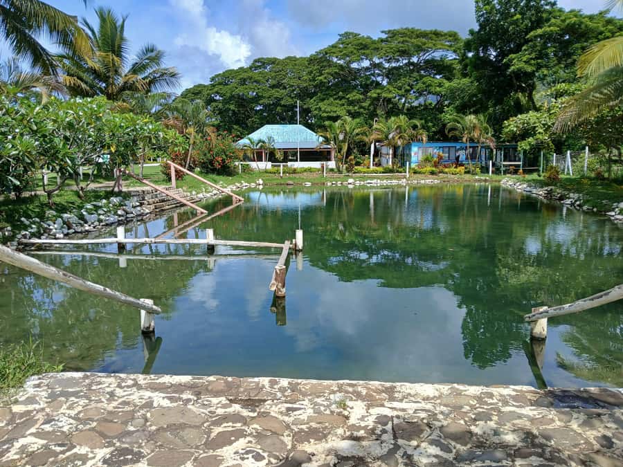NADI-SABETO: Exquisite Orchid Garden with Hotspring Mudpool - What to bring and how to prepare