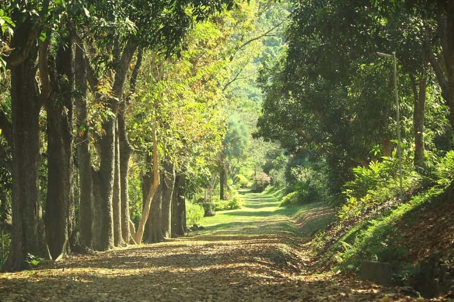 NADI-SABETO: Exquisite Orchid Garden with Hotspring Mudpool - Booking flexibility and final practical notes