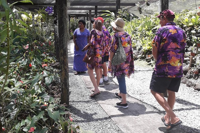 Nadi Sightseeing Including Viseisei Lookout, Village Tour, Garden & Temple Tour - Key things to know before you go