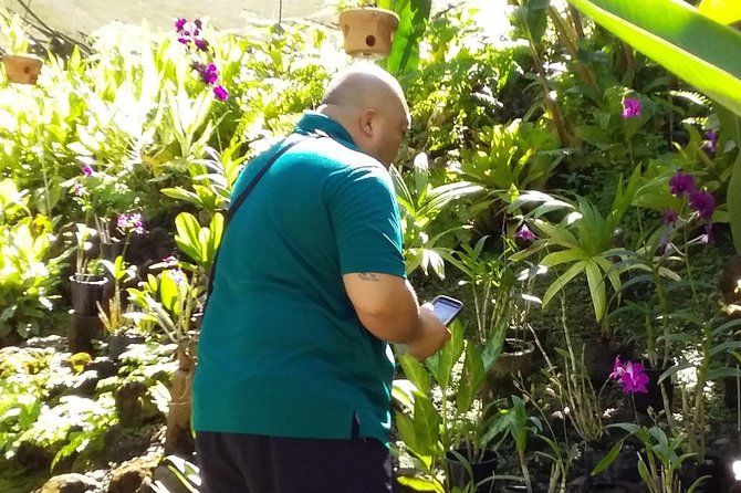 Nadi Sightseeing Including Viseisei Lookout, Village Tour, Garden & Temple Tour - The Anchorage Lookout near Vuda Point