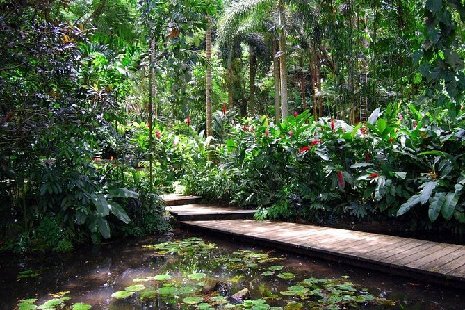 Nadi Sightseeing Including Viseisei Lookout, Village Tour, Garden & Temple Tour - Starting with fruit, root crops, and fish at Namaka Market