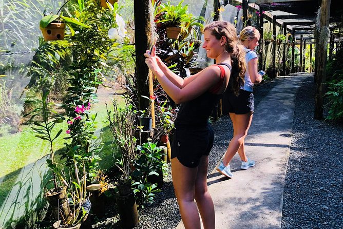 Nadi Sightseeing & Mud Pool Tour - What the Nadi tour is really like