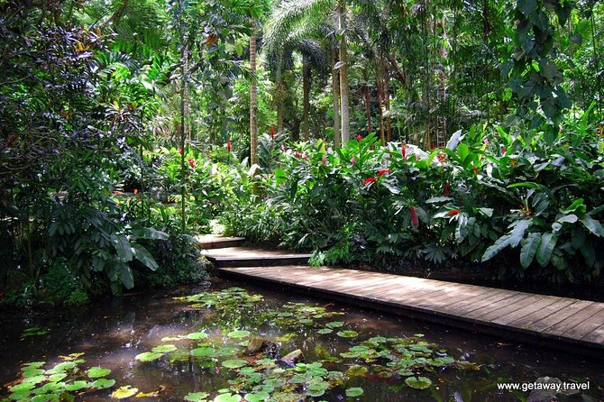 Nadi Sightseeing & Mud Pool Tour - Ex Fiji Marriott, Momi Bay - Why this half-day tour works from Momi Bay