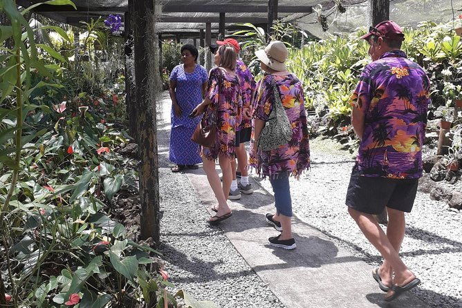 Nadi Sightseeing & Mud Pool Tour - Sri Siva Subramaniya Temple and its Hindu details