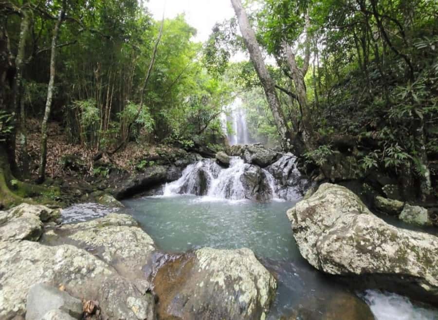 Nadi: Waterfall Tour Adventure with Refreshments and Lunch - Coconut water at the campsite