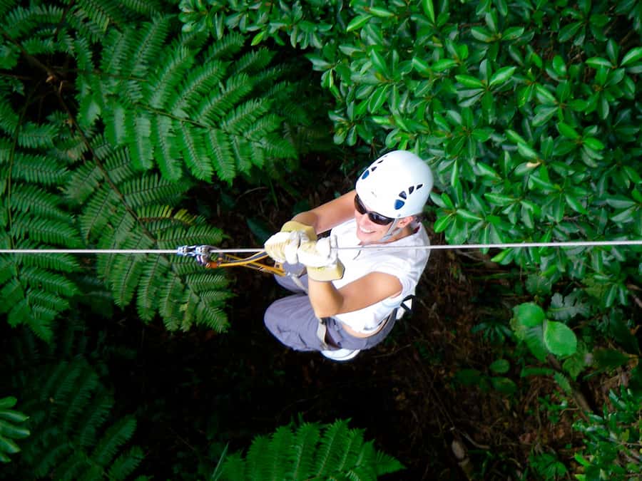 Nadi: Zipline Adventure with Cave Exploration - The first part of the route: forest above the mountain