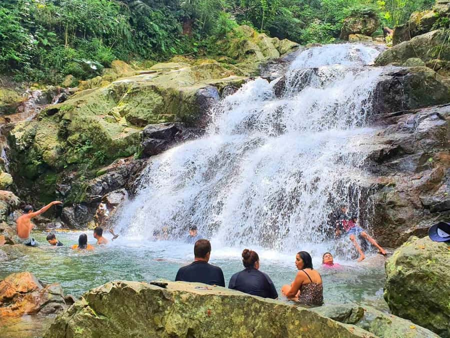 Nadi: Zipline, Waterfalls, and Jungle Safari Tour with Lunch - Key points to know before booking