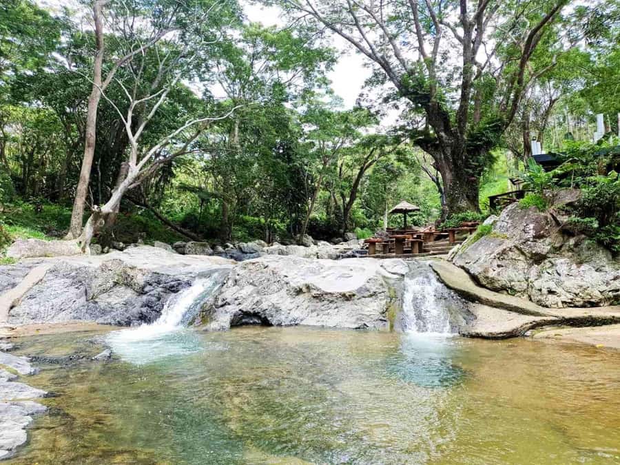 Nadi: Zipline, Waterfalls, and Jungle Safari Tour with Lunch - The rainforest walk to two waterfalls