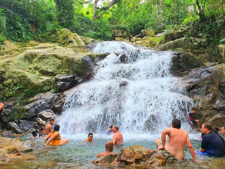Nadi: Zipline, Waterfalls, and Jungle Safari Tour with Lunch - Lunch beside streams and jungle foliage