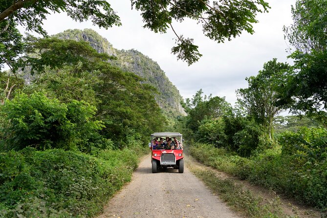 Naihehe Cave Safari in Sigatoka with BBQ Lunch - Simple preparation for a better day