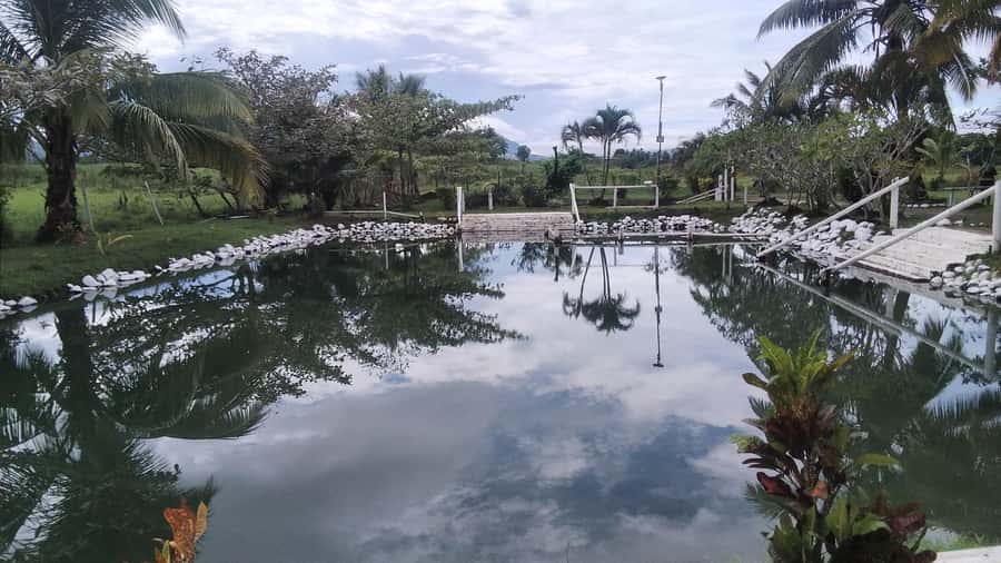 Natadola Beach Tour With Tifajek Mud Pool & Hotspring - What happens at Tifajek Mud Pool and Hotspring