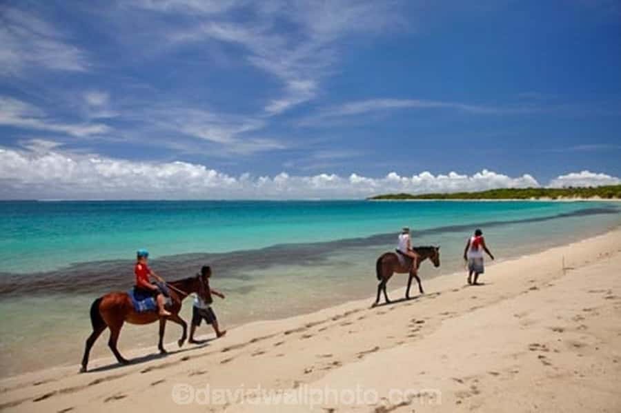 Natadola Beach Tour With Tifajek Mud Pool & Hotspring - The biggest practical concern: dependable operation