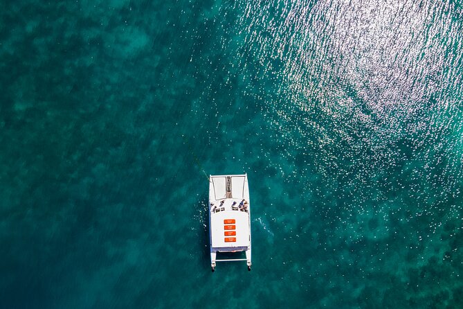 Oolala Cruises on Savala Island - Kayaks, Paddleboards, Swimming, and Beach Time