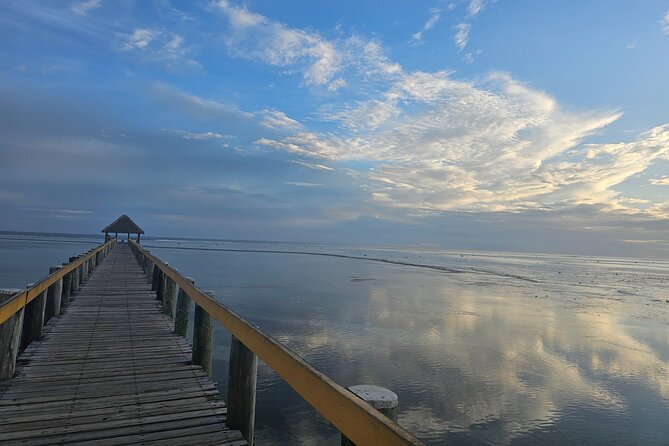 Premier Transfers and Tours Fiji - A calm arrival at Nadi International Airport