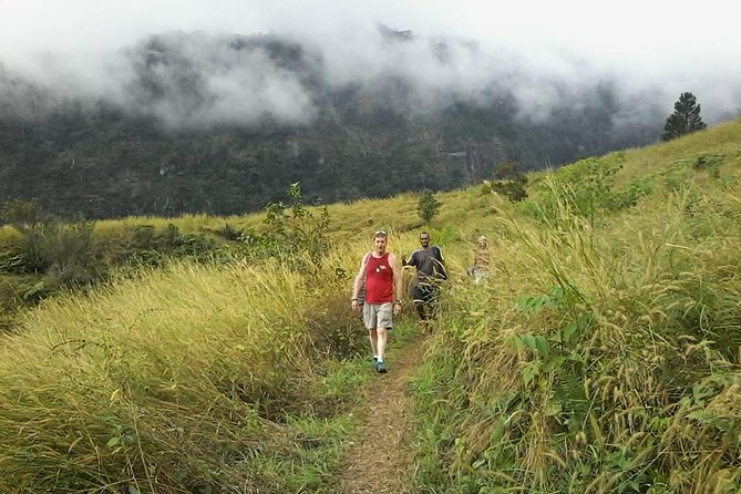 Private Breathtaking Koroyanitu Half Day Waterfall Hike - Key points at a glance