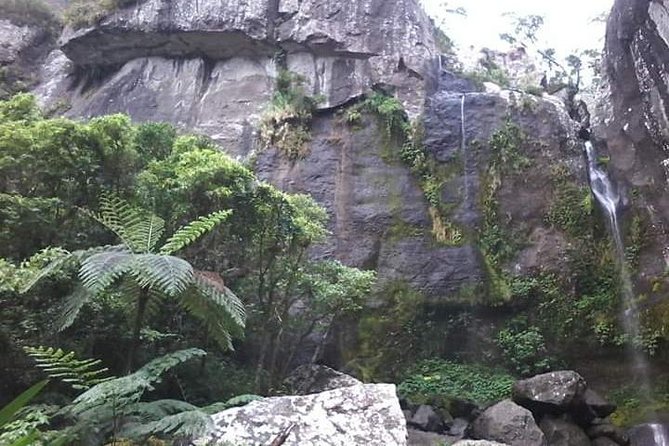 Private Breathtaking Koroyanitu Half Day Waterfall Hike - Why this private Koroyanitu hike feels different