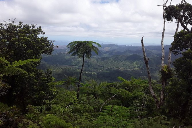 Private Breathtaking Mnt Victoria Day Trek - Stories of Lutunasobasoba and Ratu Sir Lala Sukuna