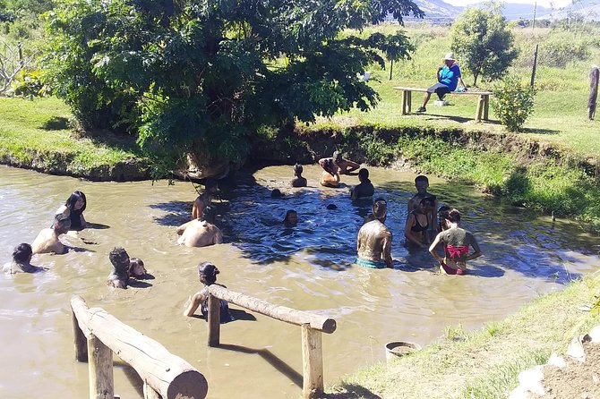 Private Denarau Shore Excursion - Temple, Shopping, Market, Garden & Mud Pool - Key points to know before you book