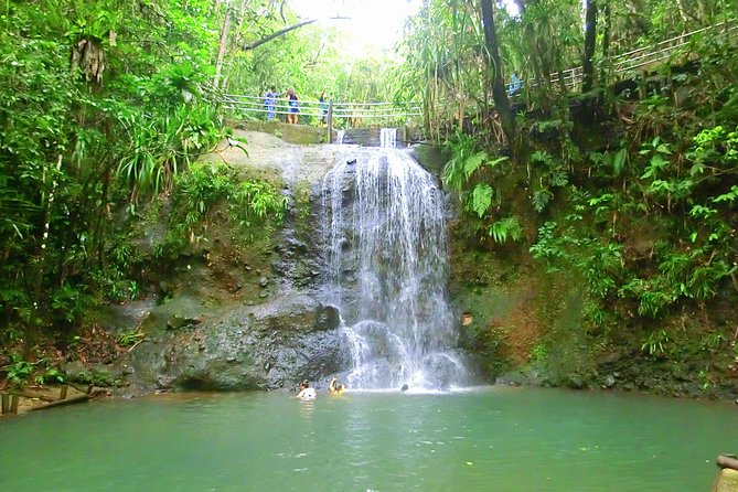 Private Suva Nature and Waterfall Tour - The practical side of the forest walk