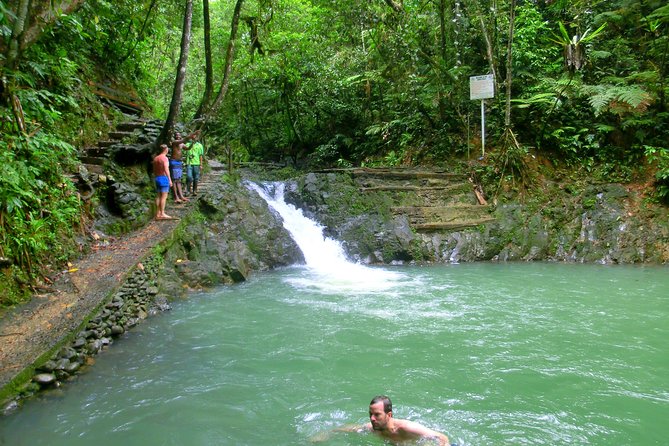 Private Suva Nature and Waterfall Tour - Swimming at Waisila Falls