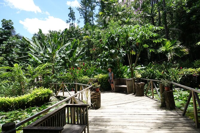 Private Tour: Best of Nadi Highlights - Orchids and quiet paths at the Garden of the Sleeping Giant