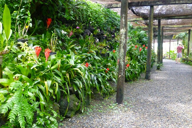 Private Tour: Best of Nadi Highlights - Why a private vehicle changes the day