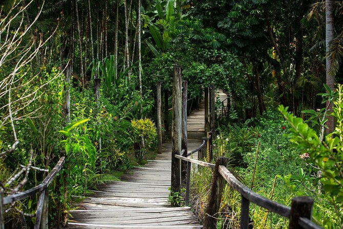 Private Tour: Hot spings & Sleeping Giant Garden hiking Adventure - Leaving Nadi for the Sabeto Valley