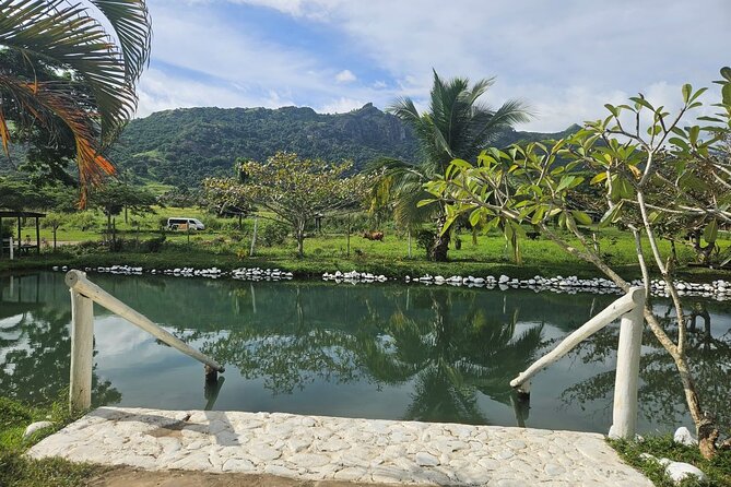 Private Tour: Hot spings & Sleeping Giant Garden hiking Adventure - Booking, cancellation, and practical preparation